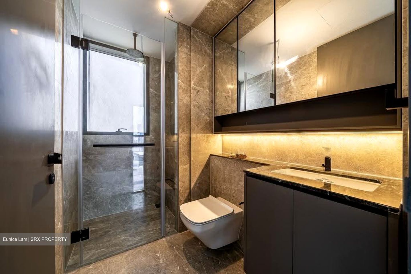 The Landmark (D3), Condominium #612010951